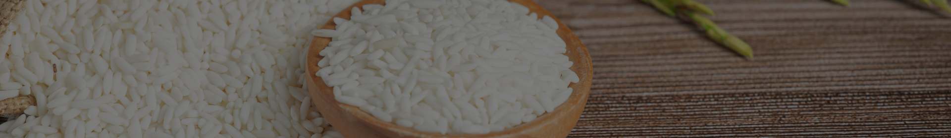 Baner_Principe