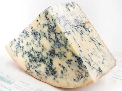 Gorgonzola_CorpJVJV 3