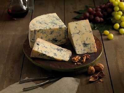 Gorgonzola_CorpJVJV 4