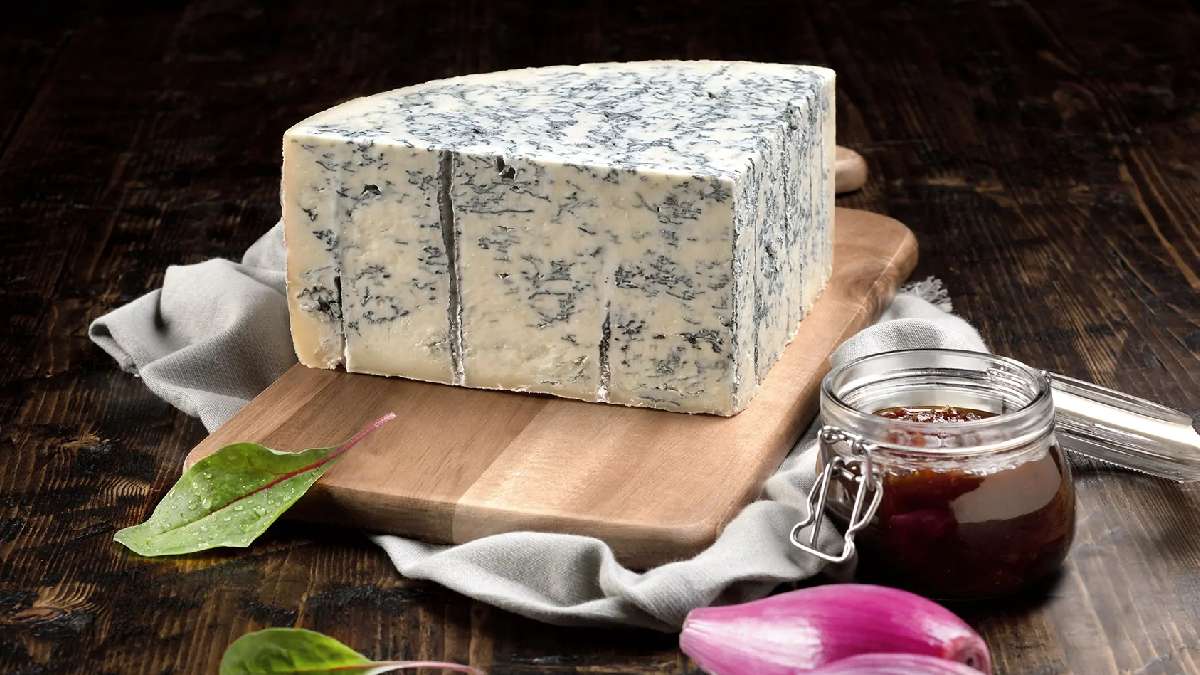 Gorgonzola_CorpJVJV