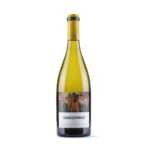 Korpa-Deli-Vina-ZvonkoBogdan-Chardonnay